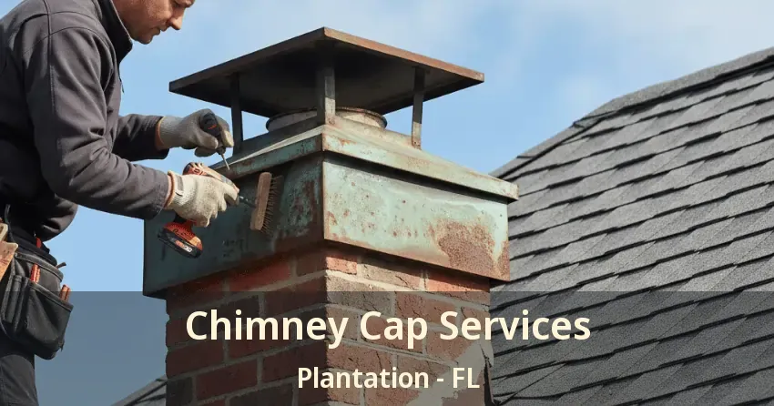 Chimney Cap Services Plantation - FL