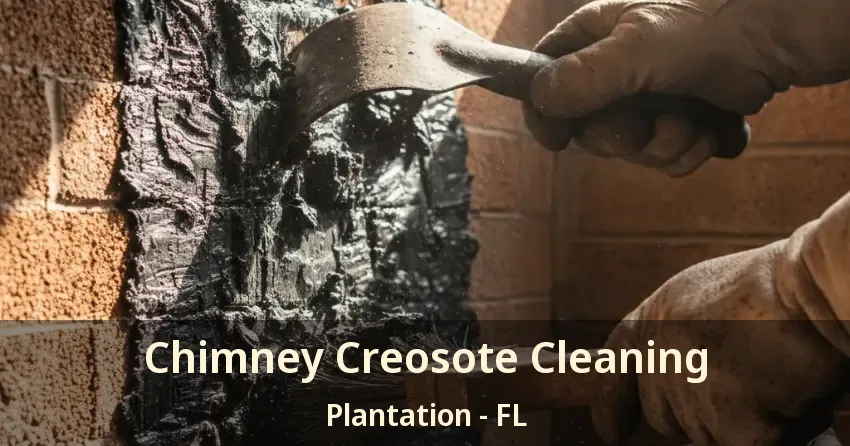 Chimney Creosote Cleaning Plantation - FL
