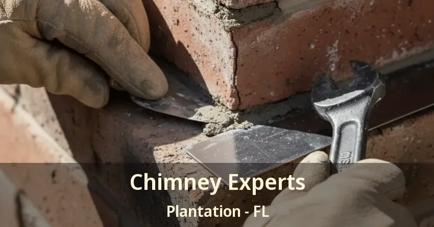 Chimney Experts Plantation - FL