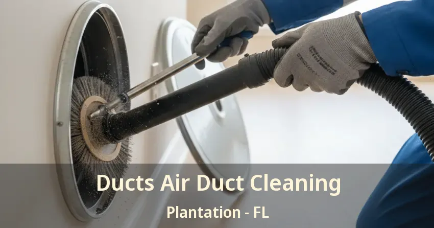 Ducts Air Duct Cleaning Plantation - FL