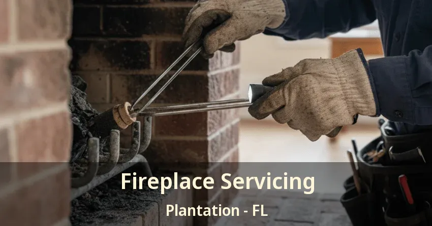 Fireplace Servicing Plantation - FL