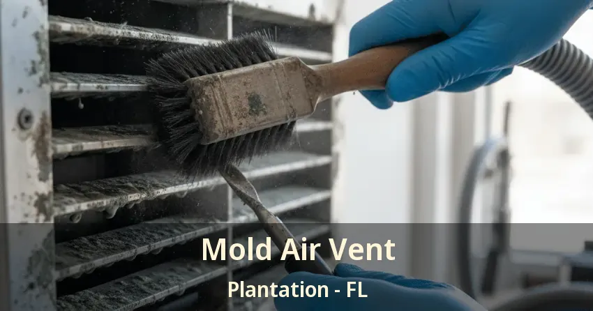 Mold Air Vent Plantation - FL