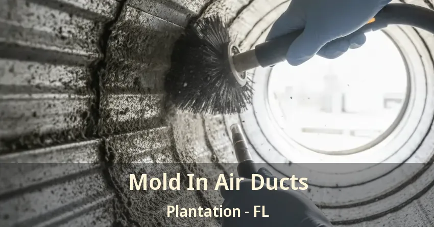 Mold In Air Ducts Plantation - FL Mold In Air Ducts Plantation - FL