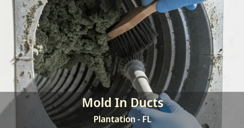 Mold In Ducts Plantation - FL Mold In Ducts Plantation - FL