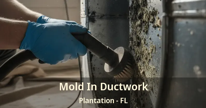 Mold In Ductwork Plantation - FL Mold In Ductwork Plantation - FL