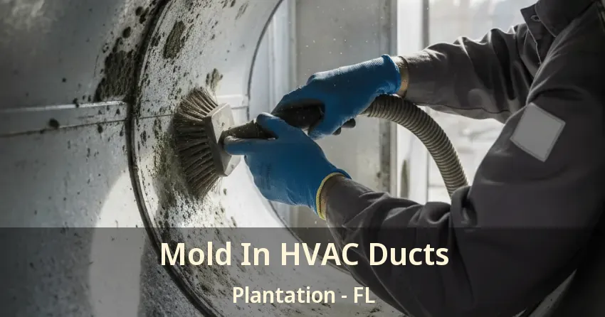 Mold In HVAC Ducts Plantation - FL